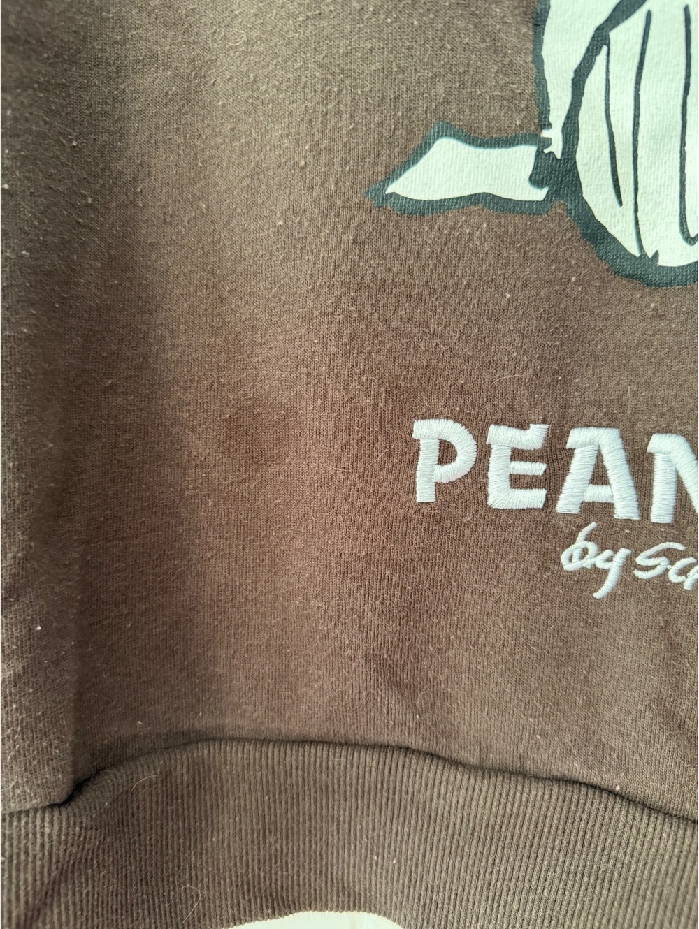 Peanuts by Schulz Brown Crewneck Sweatshirt with Snoopy and Woodstock Heartprint - Picture 7 of 7